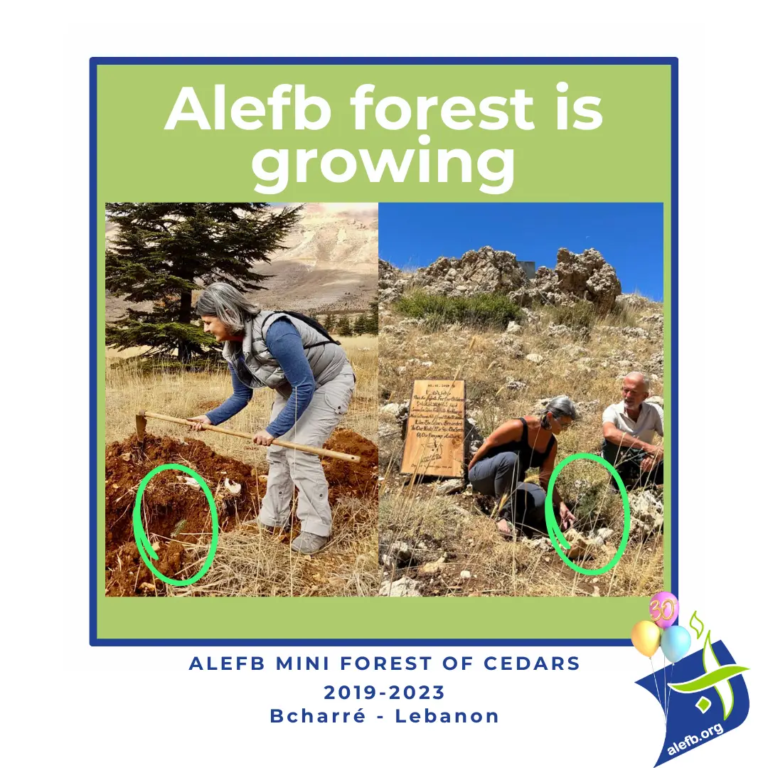 Read more about the article Alefb at 30: Cultivating Global Citizens and Nurturing Local Talent